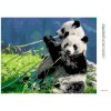 Diamantové maľovanie - PANDA A BAMBUS (Rámovanie bez rámu a bez vypnutia plátna, Rozmer 40x50 cm)