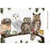 Diamantové maľovanie - SOVY S ČAJOM (HOLLY SIMENTAL) (Rámovanie bez rámu a bez vypnutia plátna, Rozmer 40x50 cm)