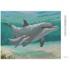 Diamantové maľovanie - DELFÍNY (ROBERT JOHNSON) (Rámovanie bez rámu a bez vypnutia plátna, Rozmer 40x50 cm)