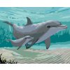 Diamantové maľovanie - DELFÍNY (ROBERT JOHNSON) (Rámovanie bez rámu a bez vypnutia plátna, Rozmer 40x50 cm)