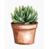 Diamantové maľovanie - SUKULENT V HNEDOM KVETINÁČI (ALEXANDRIA GILBERT) (Rámovanie bez rámu a bez vypnutia plátna, Rozmer 40x50 cm)