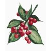 Diamantové maľovanie - VETVA STROMU CEZMÍNA S ČERVENÝMI PLODMI (ALEXANDRIA GILBERT) (Rámovanie bez rámu a bez vypnutia plátna, Rozmer 40x50 cm)