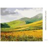 Diamantové maľovanie - LÚKA A HORY (TED DAVIS) (Rámovanie bez rámu a bez vypnutia plátna, Rozmer 40x50 cm)