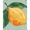 Diamantové maľovanie - CITRÓN I (HALEY BUSH) (Rámovanie bez rámu a bez vypnutia plátna, Rozmer 40x50 cm)