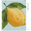 Diamantové maľovanie - CITRÓN I (HALEY BUSH) (Rámovanie bez rámu a bez vypnutia plátna, Rozmer 40x50 cm)