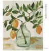 Diamantové maľovanie - CITRÓNY VO VÁZE 2 (HALEY BUSH) (Rámovanie bez rámu a bez vypnutia plátna, Rozmer 40x50 cm)