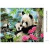 Diamantové maľovanie - PANDY A DIVOKÁ PRÍRODA (HOWARD ROBINSON) (Rámovanie bez rámu a bez vypnutia plátna, Rozmer 40x50 cm)