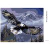 Diamantové maľovanie - LETIACI OROL (Rámovanie bez rámu a bez vypnutia plátna, Rozmer 40x50 cm)