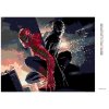 Diamantové maľovanie - SPIDERMAN DVE STRANY (Rámovanie bez rámu a bez vypnutia plátna, Rozmer 40x50 cm)