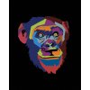Diamantové maľovanie - ABSTRAKTNÁ POP-ART OPICA NA ČIERNOM POZADIÍ (Rámovanie bez rámu a bez vypnutia plátna, Rozmer 40x50 cm)