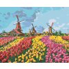 Diamantové maľovanie - AMSTERDAMSKÉ MLYNY (Rámovanie bez rámu a bez vypnutia plátna, Rozmer 40x50 cm)
