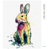 Diamantové maľovanie - FAREBNÝ KRÁLIK (Rámovanie bez rámu a bez vypnutia plátna, Rozmer 40x50 cm)