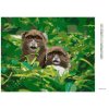 Diamantové maľovanie - DVE OPICE V LESE V JUŽNEJ AFRIKE (Rámovanie bez rámu a bez vypnutia plátna, Rozmer 40x50 cm)