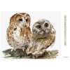 Diamantové maľovanie - DVE SOVY NA BIELOM POZADÍ (Rámovanie bez rámu a bez vypnutia plátna, Rozmer 40x50 cm)