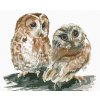 Diamantové maľovanie - DVE SOVY NA BIELOM POZADÍ (Rámovanie bez rámu a bez vypnutia plátna, Rozmer 40x50 cm)