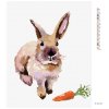 Diamantové maľovanie - KRÁLIK S MRKVIČKOU (Rámovanie bez rámu a bez vypnutia plátna, Rozmer 40x50 cm)