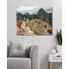 Diamantové maľovanie - LAMA A MACHU PICCHU (Rámovanie bez rámu a bez vypnutia plátna, Rozmer 40x50 cm)