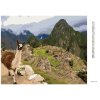 Diamantové maľovanie - LAMA A MACHU PICCHU (Rámovanie bez rámu a bez vypnutia plátna, Rozmer 40x50 cm)