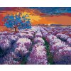 Diamantové maľovanie - LEVANDUĽOVÉ POLE PRI ZÁPADE SLNKA II (Rámovanie bez rámu a bez vypnutia plátna, Rozmer 40x50 cm)