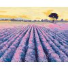 Diamantové maľovanie - LEVANDUĽOVÉ POLE SO STROMOM (Rámovanie bez rámu a bez vypnutia plátna, Rozmer 40x50 cm)