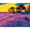 Diamantové maľovanie - LEVANDUĽOVÉ POLE SO STROMAMI (Rámovanie bez rámu a bez vypnutia plátna, Rozmer 40x50 cm)