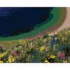 Diamantové maľovanie - LÚČNE KVETY NAD POBREŽÍM (DENNIS FRATES) (Rámovanie bez rámu a bez vypnutia plátna, Rozmer 40x50 cm)