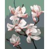 Diamantové maľovanie - MAGNÓLIA (MYROSLAVA VOLOSCHUK) (Rámovanie bez rámu a bez vypnutia plátna, Rozmer 40x50 cm)