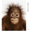 Diamantové maľovanie - MLADÝ ORANGUTÁN (Rámovanie bez rámu a bez vypnutia plátna, Rozmer 40x50 cm)