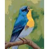 Diamantové maľovanie - MODRÝ VTÁČIK (MYROSLAVA VOLOSCHUK) (Rámovanie bez rámu a bez vypnutia plátna, Rozmer 40x50 cm)