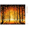 Diamantové maľovanie - ZÁPAD SLNKA V JESENNOM LESE (Rámovanie bez rámu a bez vypnutia plátna, Rozmer 40x50 cm)