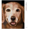 Diamantové maľovanie - ZLATÝ RETRÍVER 2 (MYROSLAVA VOLOSCHUK) (Rámovanie bez rámu a bez vypnutia plátna, Rozmer 40x50 cm)