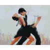 Diamantové maľovanie - TANEČNÍCI TANCUJÚCE TANGO (Rámovanie bez rámu a bez vypnutia plátna, Rozmer 40x50 cm)