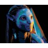 Diamantové maľovanie - NEYTIRI HĽADIACA DO SVETLA (Avatar) (Rámovanie bez rámu a bez vypnutia plátna, Rozmer 40x50 cm)