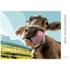 Diamantové maľovanie - OLIZUJÚCA SA KRAVA (Rámovanie bez rámu a bez vypnutia plátna, Rozmer 40x50 cm)