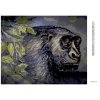 Diamantové maľovanie - OPICA (Rámovanie bez rámu a bez vypnutia plátna, Rozmer 40x50 cm)