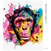 Diamantové maľovanie - OPICA NA FAREBNOM POZADÍ (Rámovanie bez rámu a bez vypnutia plátna, Rozmer 40x50 cm)