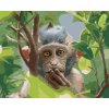 Diamantové maľovanie - OPICA V PRÍRODNOM LESE (Rámovanie bez rámu a bez vypnutia plátna, Rozmer 40x50 cm)