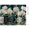 Diamantové maľovanie - ORCHIDEY A LÁVOVÉ KAMENE (Rámovanie bez rámu a bez vypnutia plátna, Rozmer 40x50 cm)