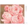 Diamantové maľovanie - PIVÓNIE 2 (MYROSLAVA VOLOSCHUK) (Rámovanie bez rámu a bez vypnutia plátna, Rozmer 40x50 cm)
