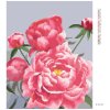Diamantové maľovanie - PIVÓNIE 4 (MYROSLAVA VOLOSCHUK) (Rámovanie bez rámu a bez vypnutia plátna, Rozmer 40x50 cm)