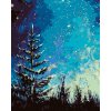 Diamantové maľovanie - STROM A NOČNÁ OBLOHA V LESE (Rámovanie bez rámu a bez vypnutia plátna, Rozmer 40x50 cm)