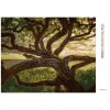 Diamantové maľovanie - STARÝ STROM (DENNIS FRATES) (Rámovanie bez rámu a bez vypnutia plátna, Rozmer 40x50 cm)