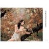 Diamantové maľovanie - ROZPRÁVKOVÉ DIEVČA SO SOVOU V LESE (Rámovanie bez rámu a bez vypnutia plátna, Rozmer 40x50 cm)