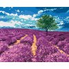 Diamantové maľovanie - POLE LEVANDULÍ SO STROMOM (Rámovanie bez rámu a bez vypnutia plátna, Rozmer 40x50 cm)