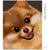 Diamantové maľovanie - POMERANIAN (MYROSLAVA VOLOSCHUK) (Rámovanie bez rámu a bez vypnutia plátna, Rozmer 40x50 cm)
