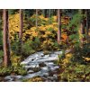 Diamantové maľovanie - POTOK V LESE (DENNIS FRATES) (Rámovanie bez rámu a bez vypnutia plátna, Rozmer 40x50 cm)