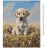 Diamantové maľovanie - ŠTEŇA LABRADORA (Rámovanie bez rámu a bez vypnutia plátna, Rozmer 40x50 cm)
