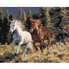Diamantové maľovanie - BEŽIACE KONE A HORY (Rámovanie bez rámu a bez vypnutia plátna, Rozmer 40x50 cm)