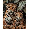 Diamantové maľovanie - LEOPARD A MLÁĎA (Rámovanie bez rámu a bez vypnutia plátna, Rozmer 40x50 cm)