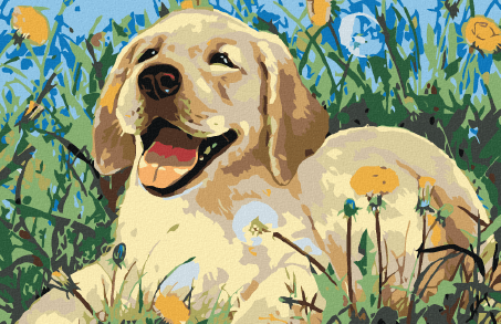 Stwórz obraz czworonożnych futrzaków